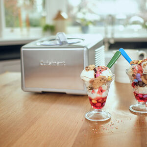 Ice Cream & Gelato Professional IJsmachine